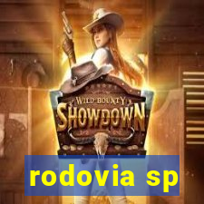 rodovia sp-300 km 72